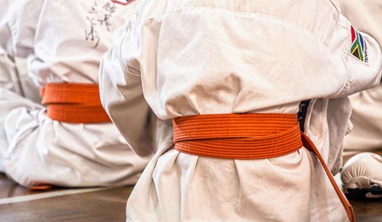 KARATE SHIDOKAN