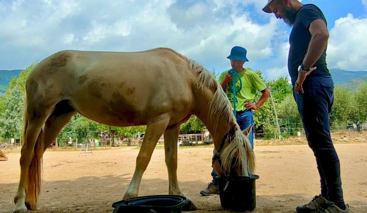 EQUITAZIONE DI CAMPAGNA
