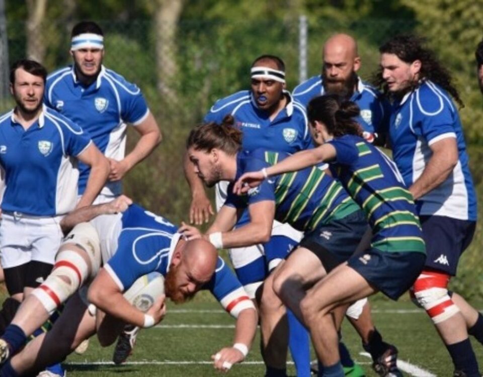 Cinghiali bianchi rugby