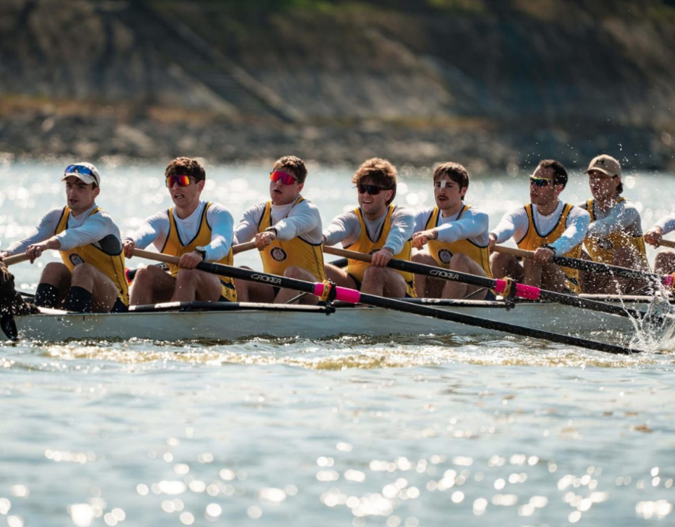 Budapest Cup